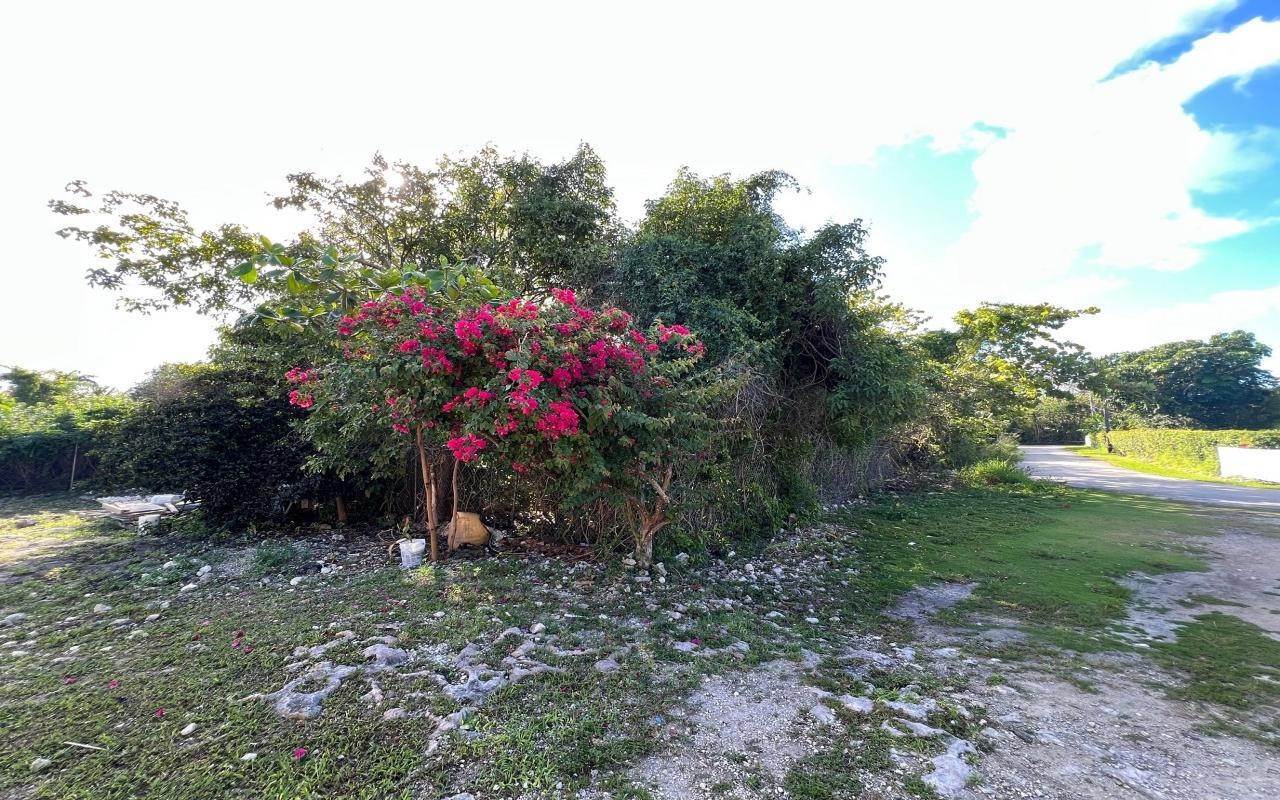 5. Land for Sale at Sea Breeze, Nassau and Paradise Island Bahamas