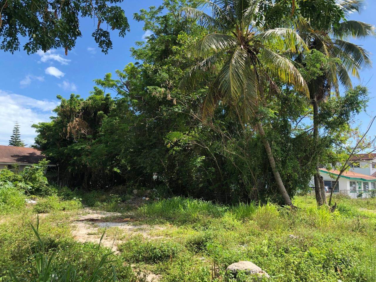 3. Land for Sale at Soldier Road, Nassau and Paradise Island Bahamas