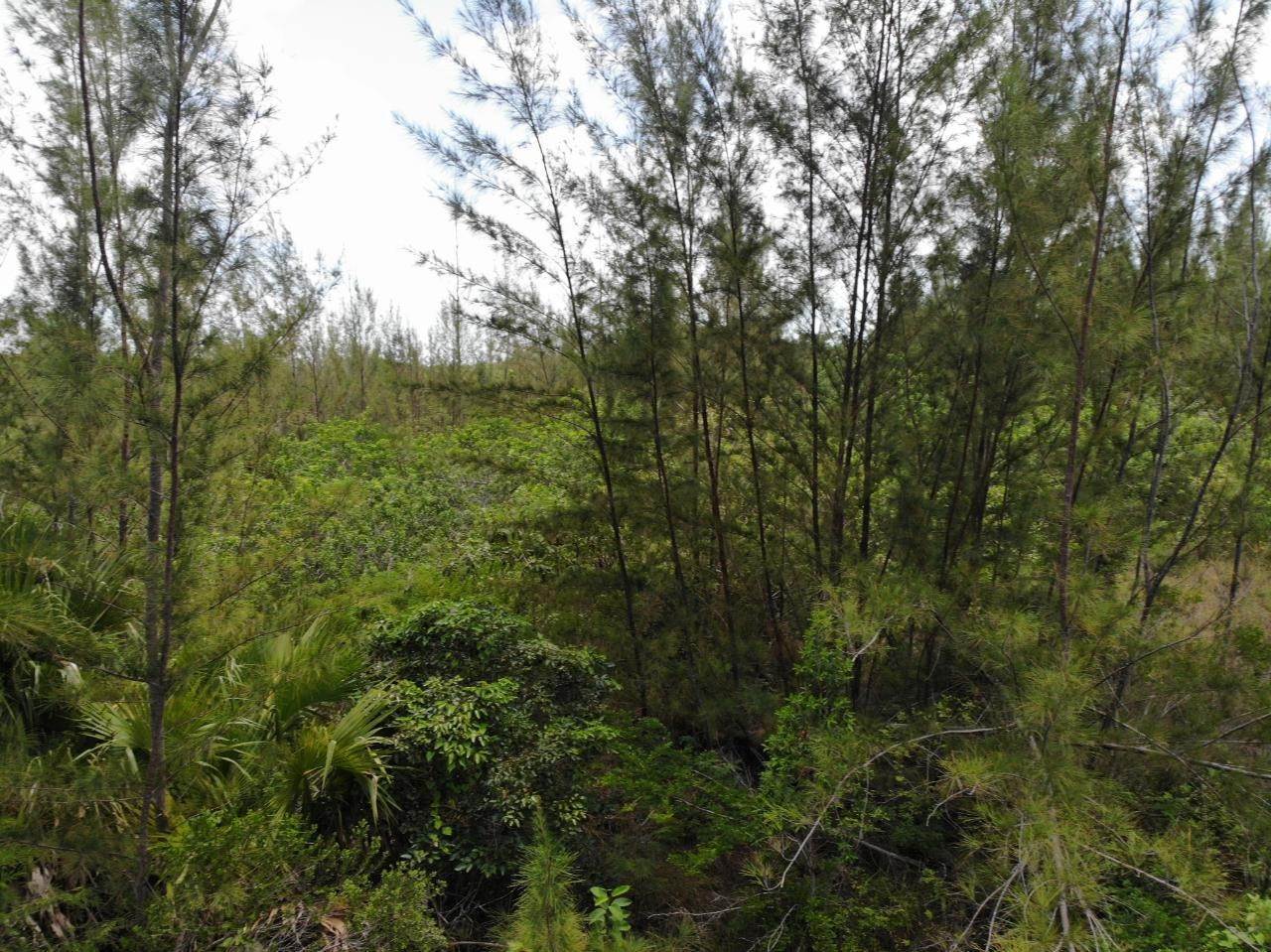 11. Land for Sale at Airport Industrial Park, Nassau and Paradise Island Bahamas