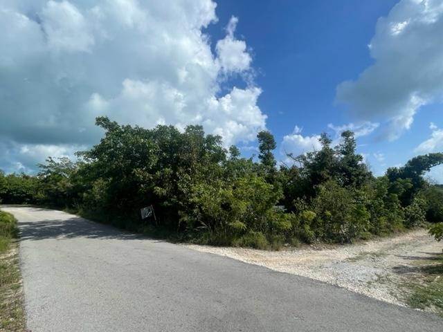 4. Land for Sale at Green Turtle Cay, Abaco Bahamas