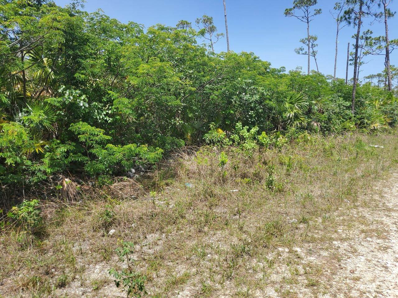 8. Land for Sale at Yeoman Wood, Freeport and Grand Bahama Bahamas
