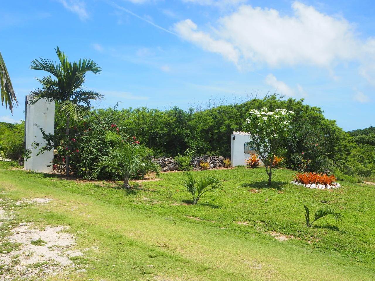 18. Acreage for Sale at New Bight, Cat Island Bahamas