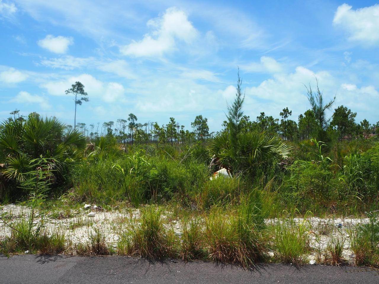 3. Land for Sale at Other New Nassau and Paradise Island, Nassau and Paradise Island Bahamas