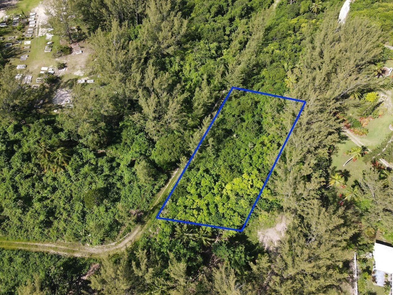 8. Land for Sale at Palmetto Point, Eleuthera Bahamas
