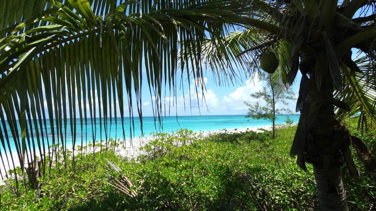 9. Land for Sale at Palmetto Point, Eleuthera Bahamas