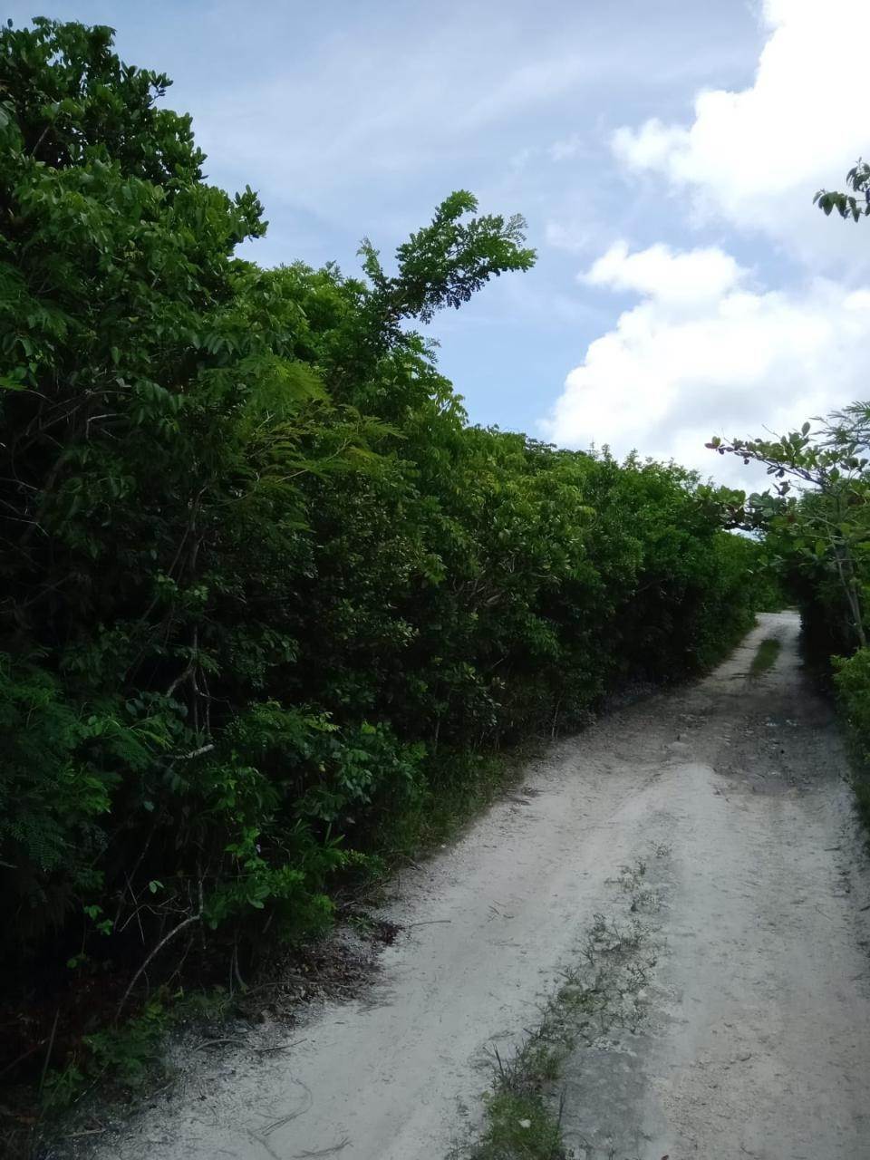 Land for Sale at Other Eleuthera, Eleuthera Bahamas