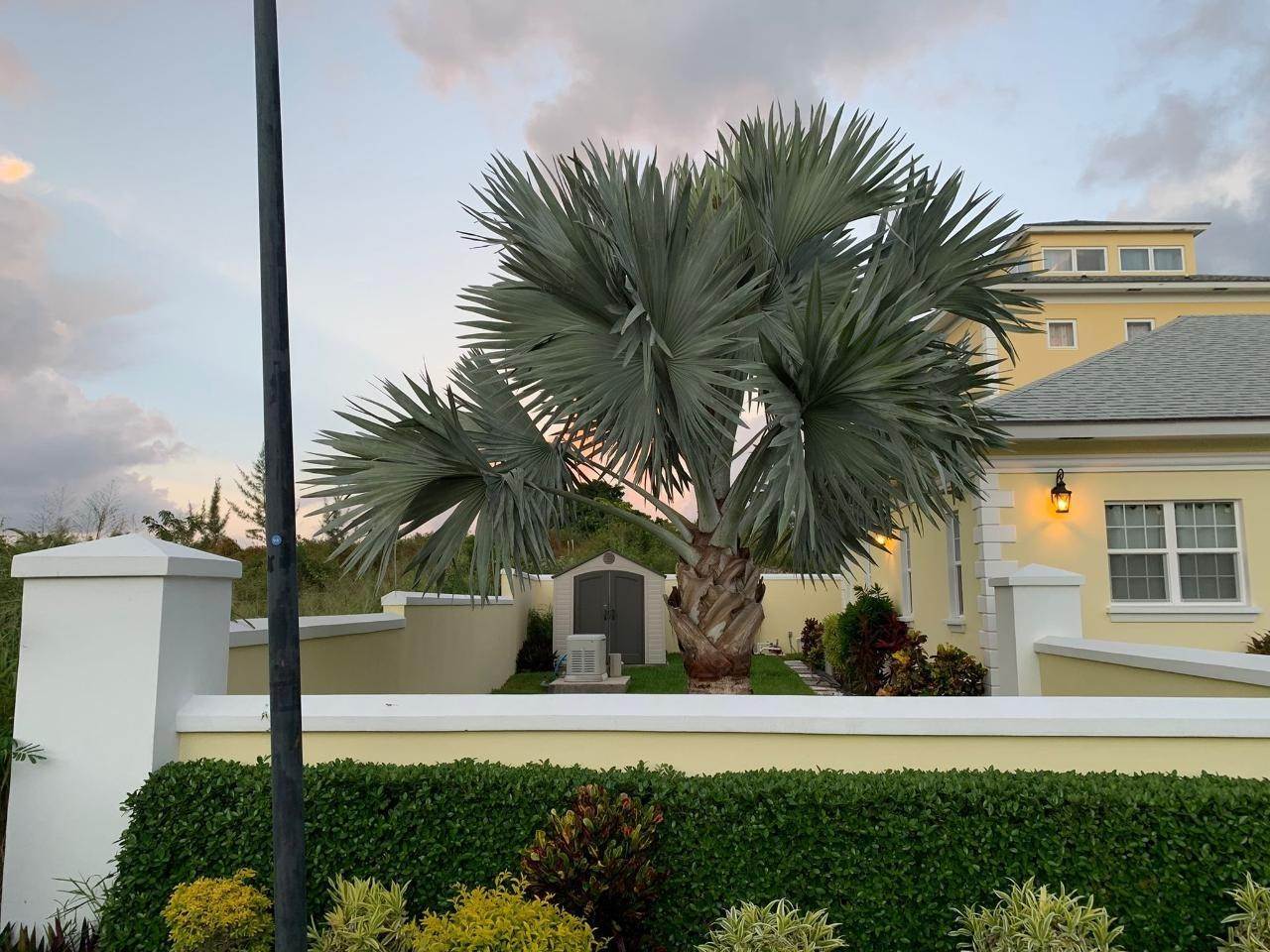 16. Single Family Homes for Rent at Yamacraw, Nassau and Paradise Island Bahamas