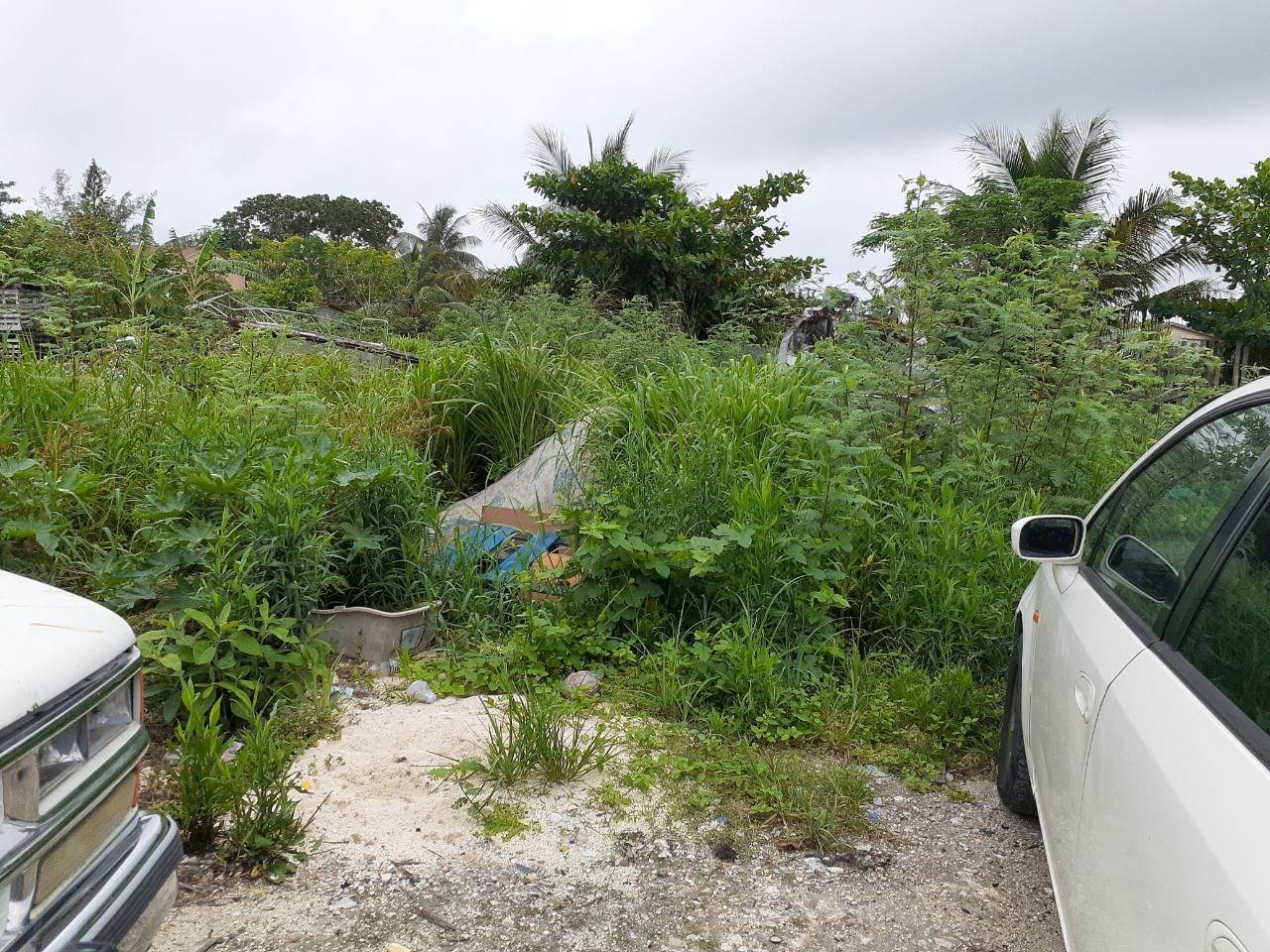 6. Land for Sale at Bacardi Road, Nassau and Paradise Island Bahamas