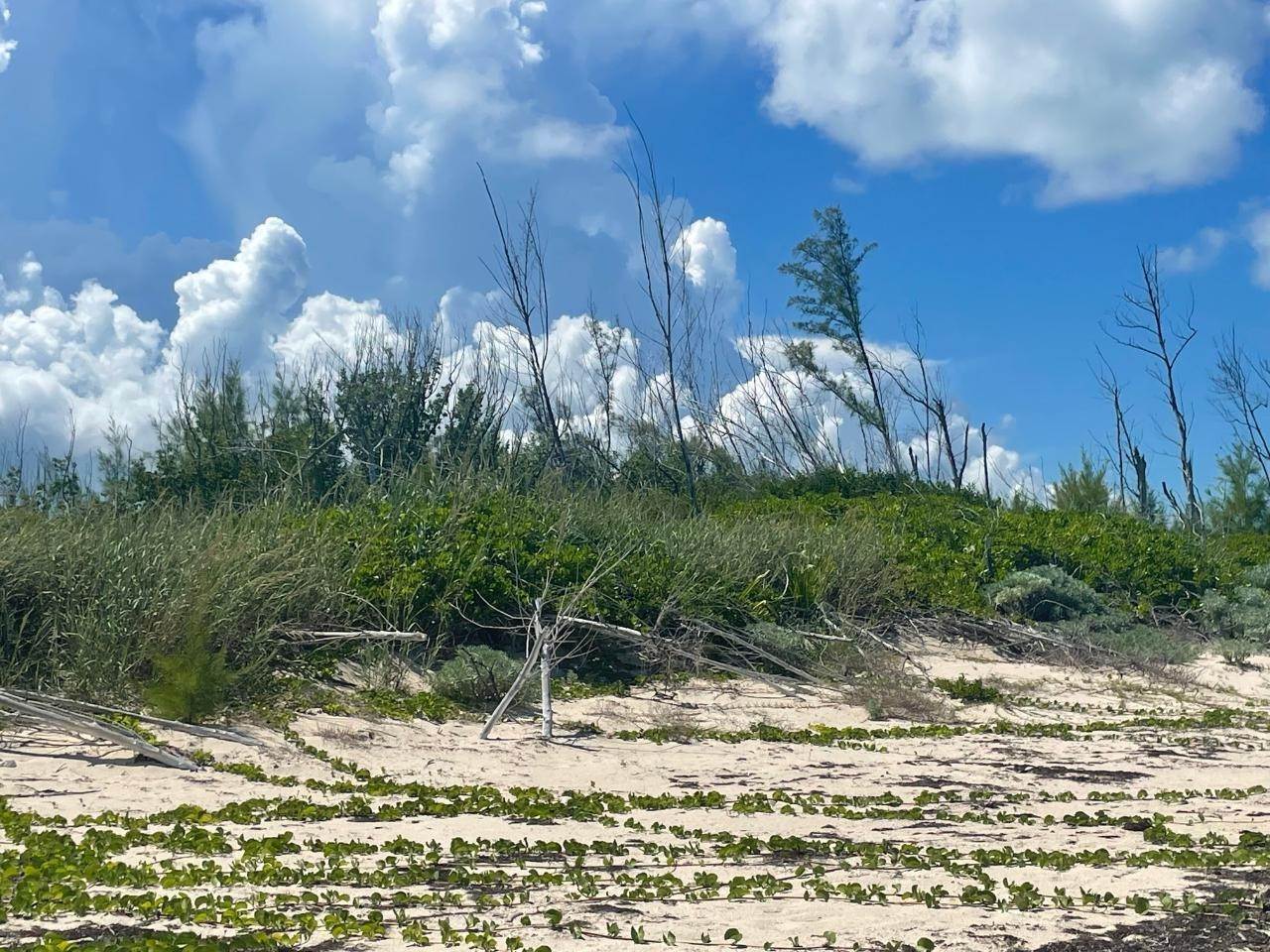 2. Land for Sale at Green Turtle Cay, Abaco Bahamas