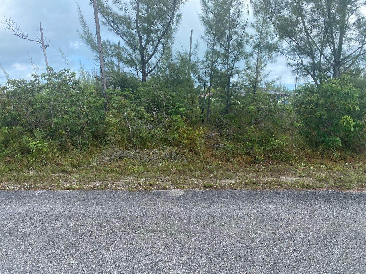 2. Land for Sale at Sentinel Bay Subdivision, Freeport and Grand Bahama Bahamas