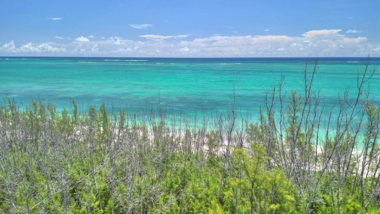 9. Land for Sale at Bahama Palm Shores, Abaco Bahamas