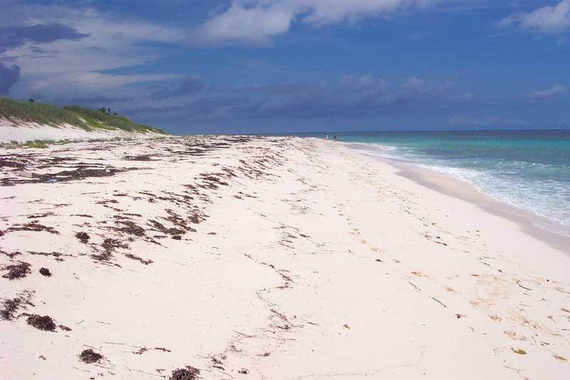 24. Land for Sale at Little Harbour, Abaco Bahamas