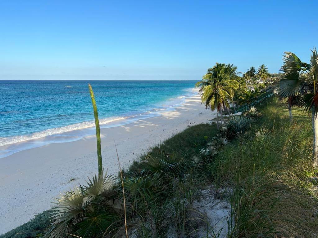 2. Land for Sale at Palmetto Point, Eleuthera Bahamas