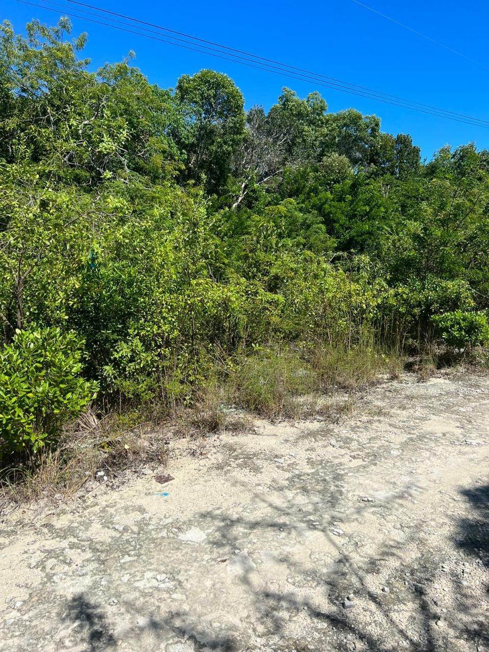 2. Land for Sale at George Town, Exuma Bahamas