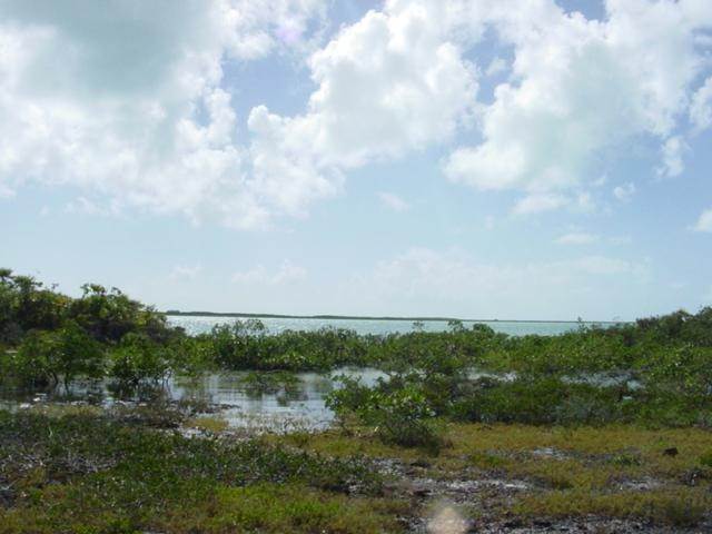 5. Land for Sale at Other Exuma, Exuma Bahamas