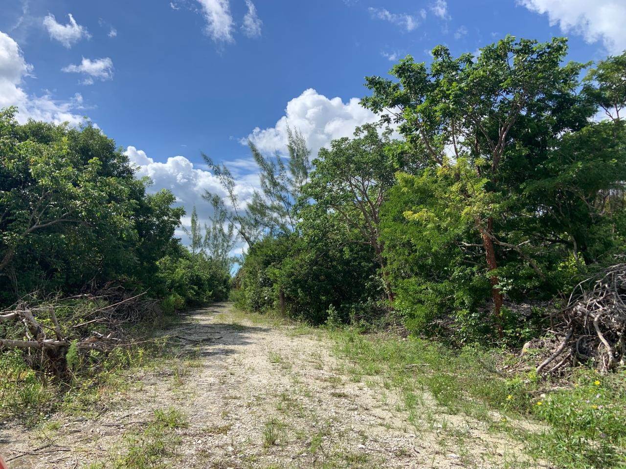 20. Land for Sale at Bahama Palm Shores, Abaco Bahamas