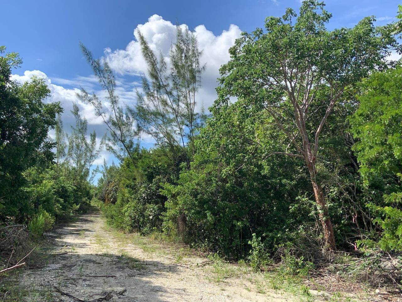 21. Land for Sale at Bahama Palm Shores, Abaco Bahamas