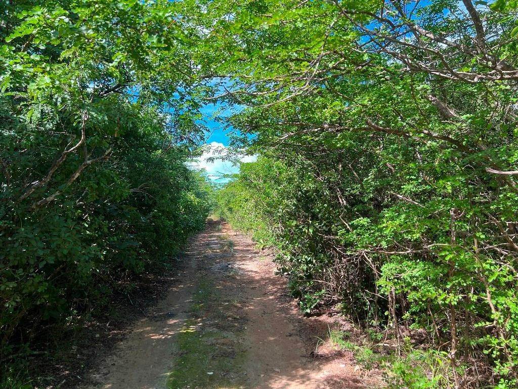 Land for Sale at Bahama Island Beach, Exuma Bahamas