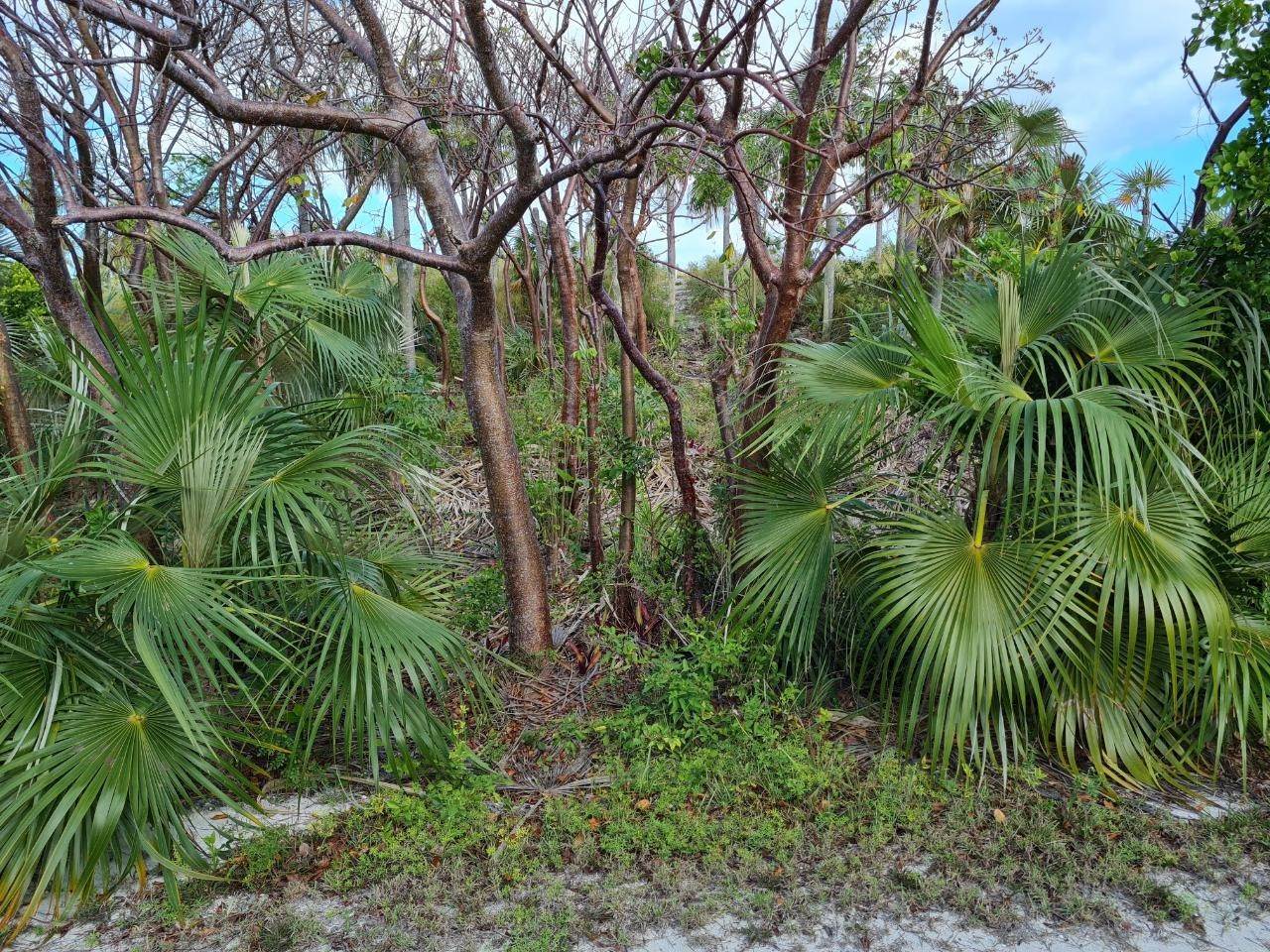 10. Land for Sale at Savannah Sound, Eleuthera Bahamas