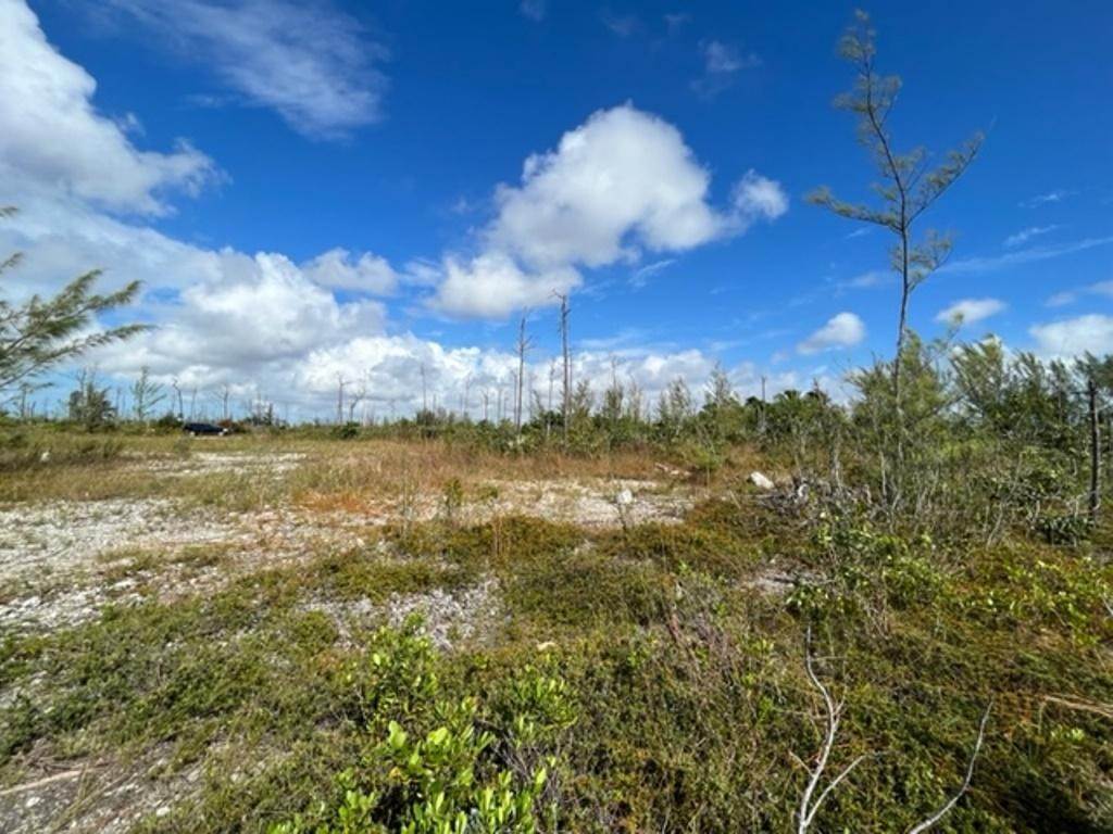 10. Land for Sale at Lucaya, Freeport and Grand Bahama Bahamas