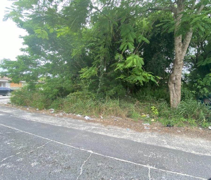 2. Land for Sale at Fox Hill, Nassau and Paradise Island Bahamas