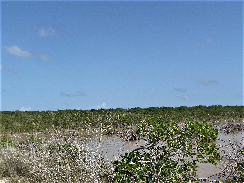 17. Land for Sale at Other Long Island, Long Island Bahamas