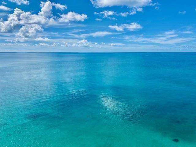 8. Land for Sale at Gregory Town, Eleuthera Bahamas