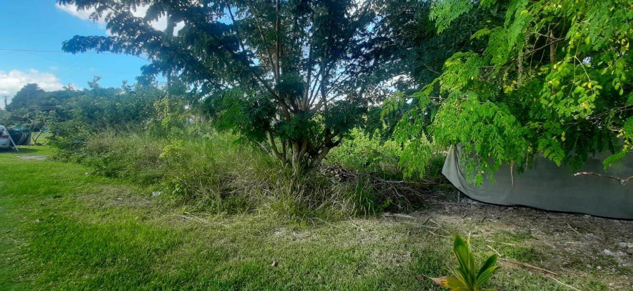 4. Land for Sale at Marshall Road, Nassau and Paradise Island Bahamas