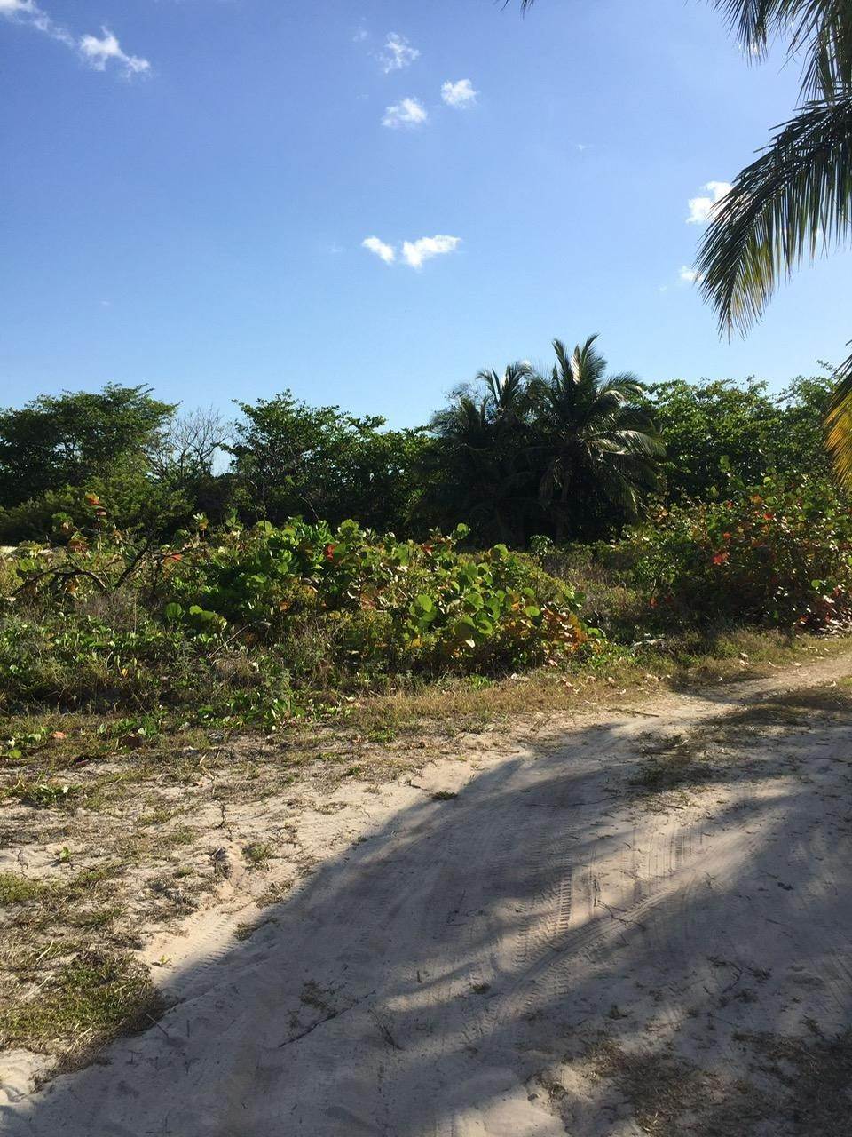 3. Land for Sale at Congo Town, Andros Bahamas