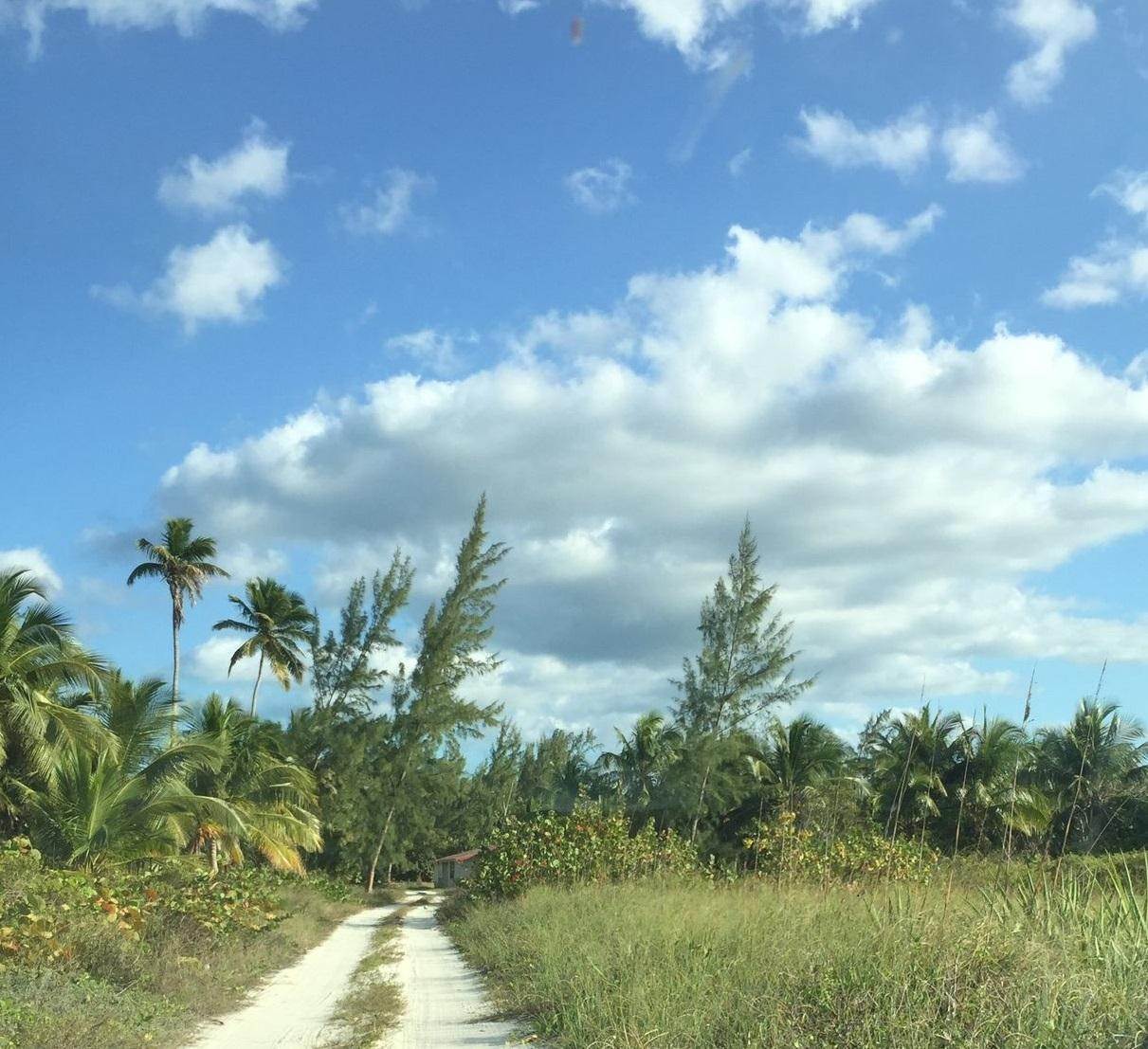 4. Land for Sale at Congo Town, Andros Bahamas