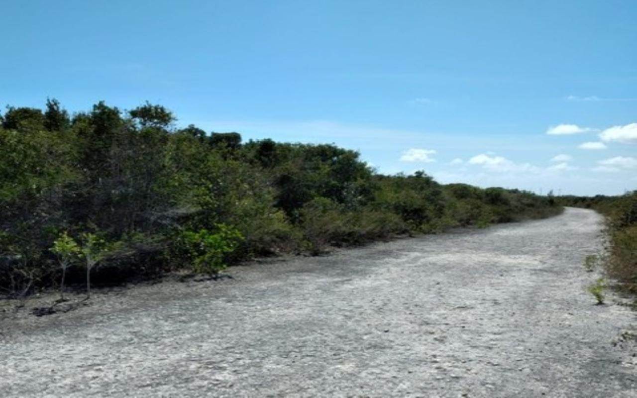 11. Land for Sale at Columbus Landings, San Salvador Bahamas