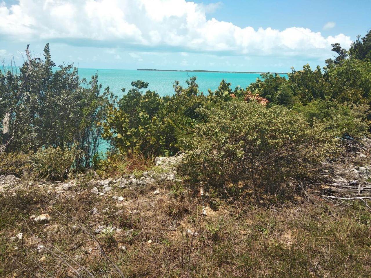 14. Land for Sale at Salt Pond, Long Island Bahamas