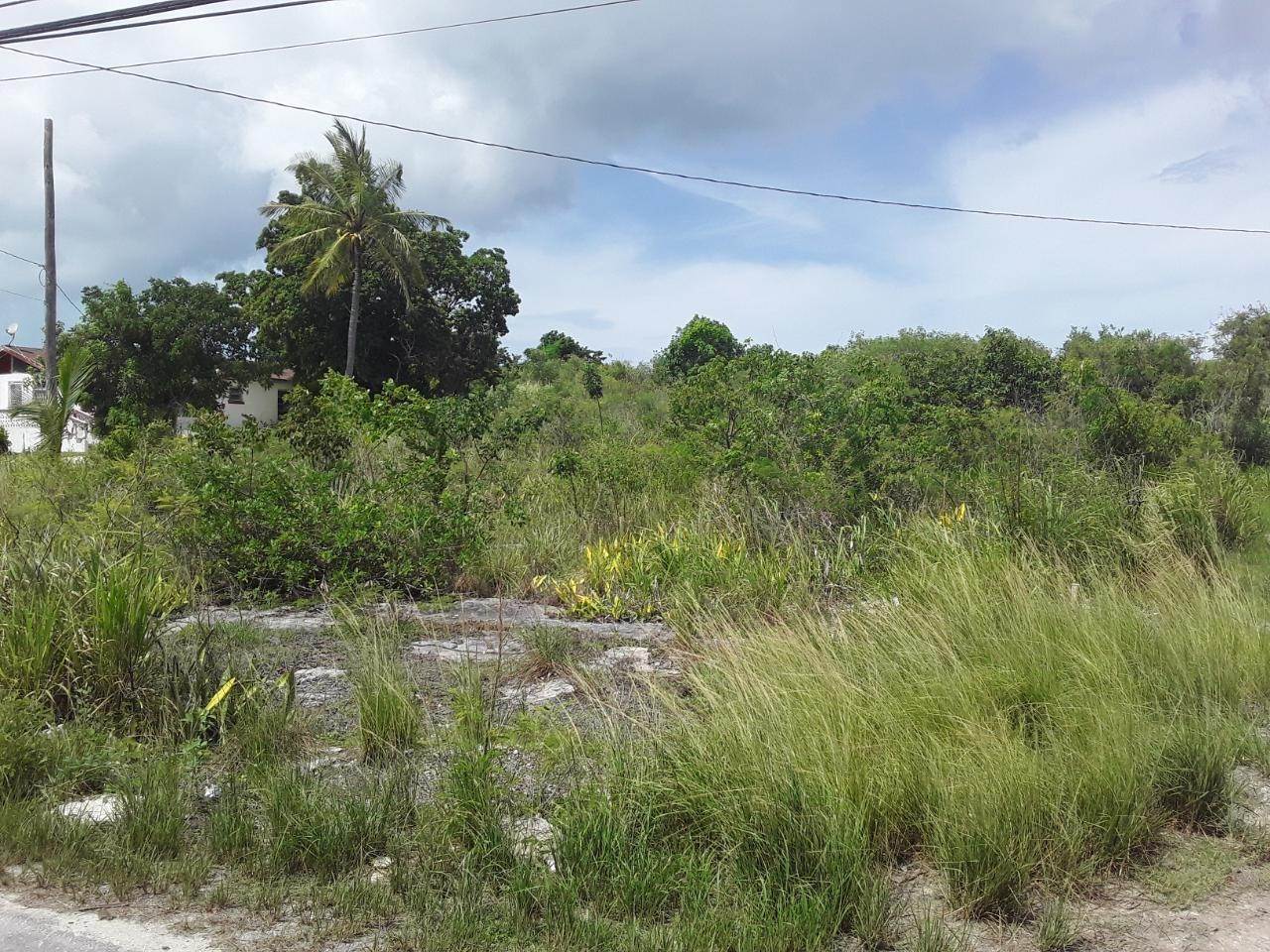 2. Land for Sale at Arthurs Town, Cat Island Bahamas