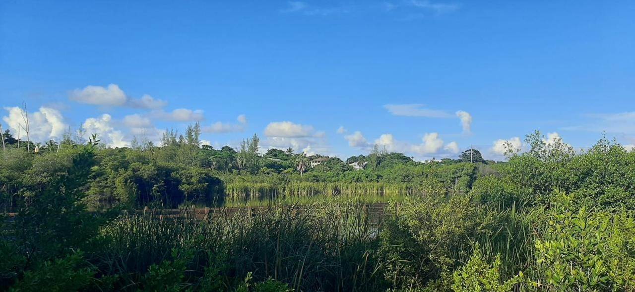 Land for Sale at Arthurs Town, Cat Island Bahamas