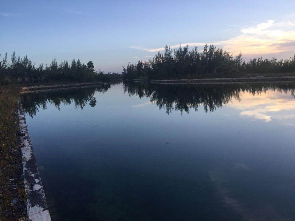 9. Land for Sale at Derby, Freeport and Grand Bahama Bahamas