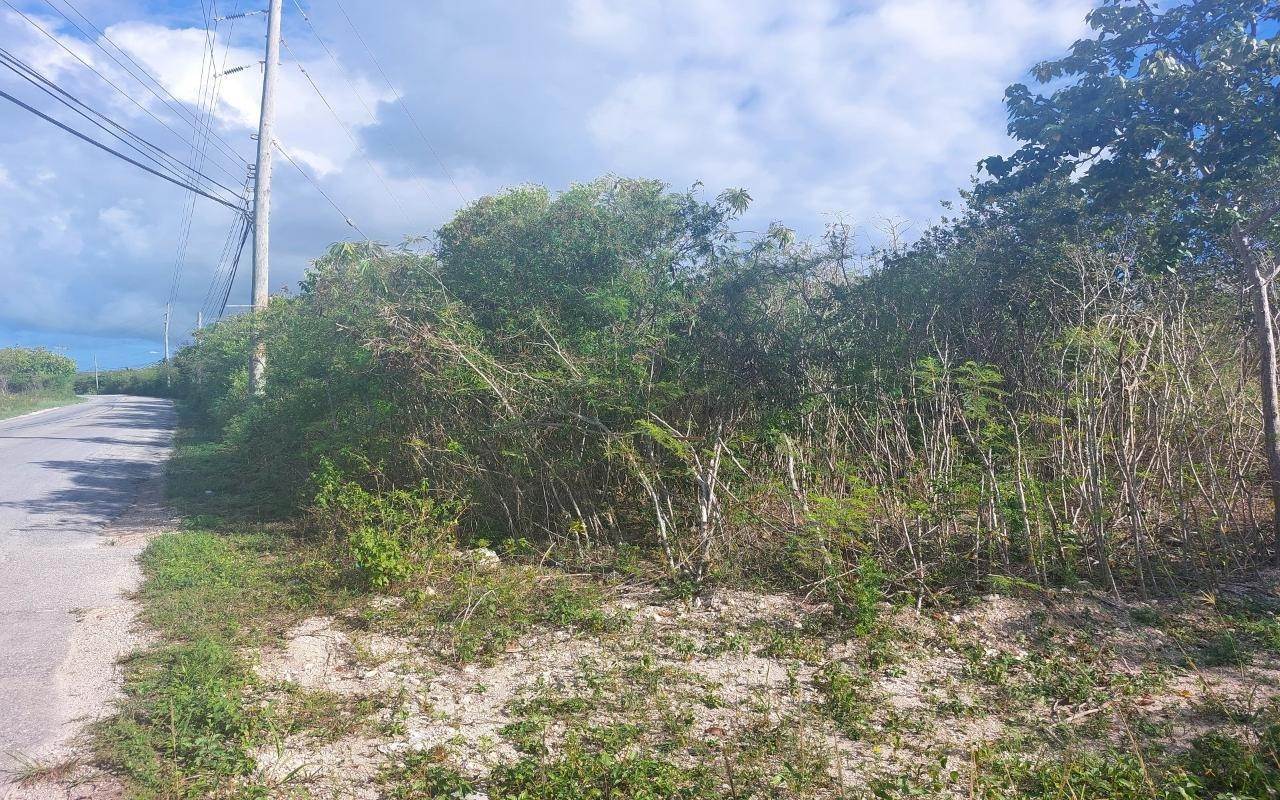 2. Land for Sale at Mangrove Bush, Long Island Bahamas