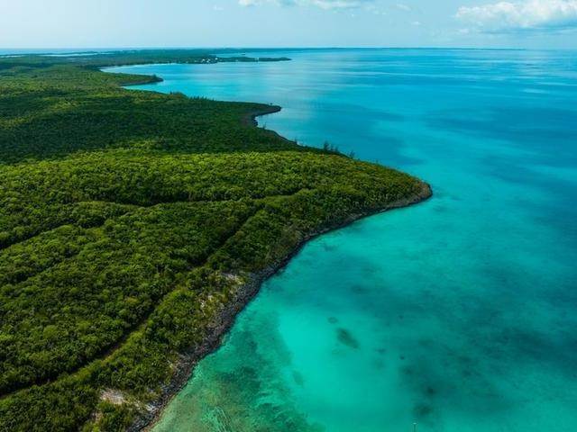 2. Land for Sale at Palmetto Point, Eleuthera Bahamas