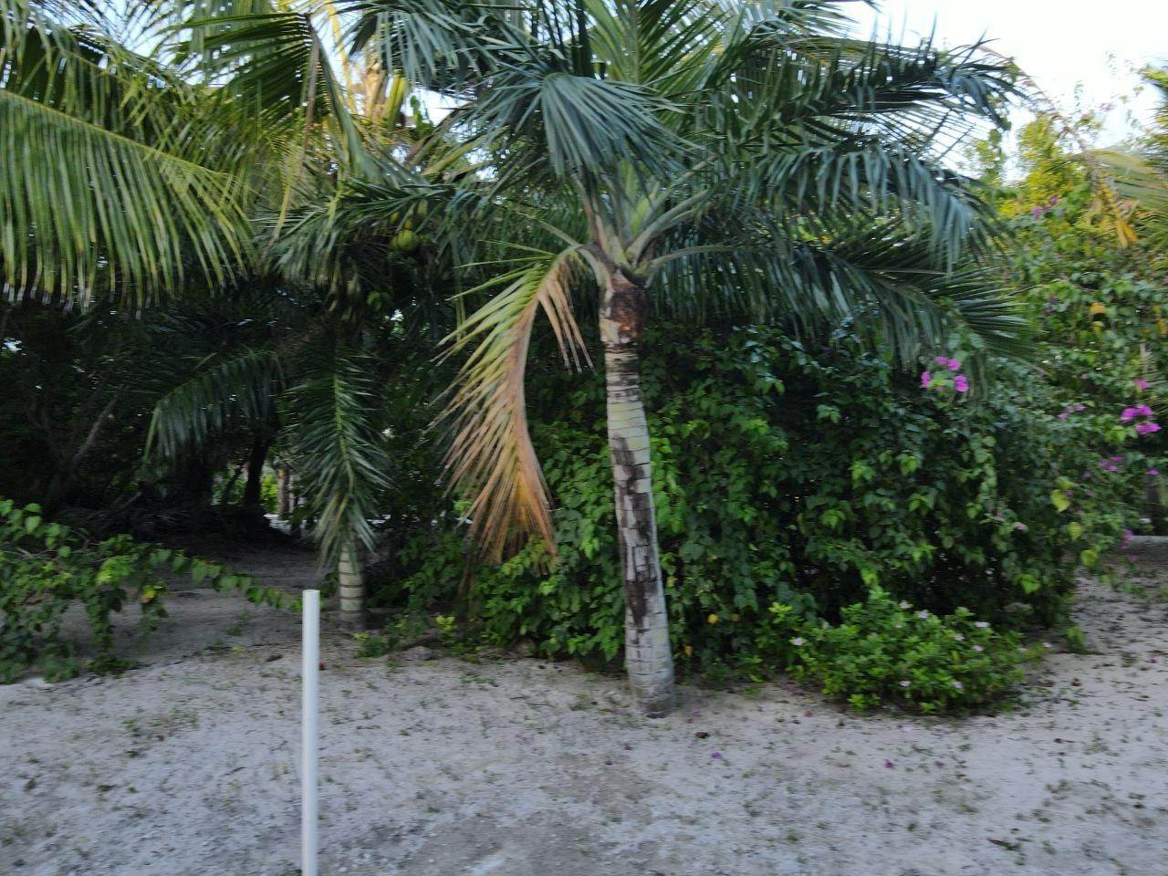 23. Land for Sale at Double Bay, Eleuthera Bahamas