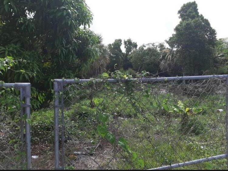 5. Land for Sale at Other New Providence, New Providence Bahamas