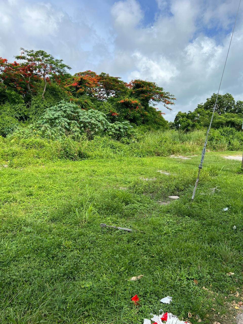 2. Land for Sale at Oakes Field, Nassau and Paradise Island Bahamas