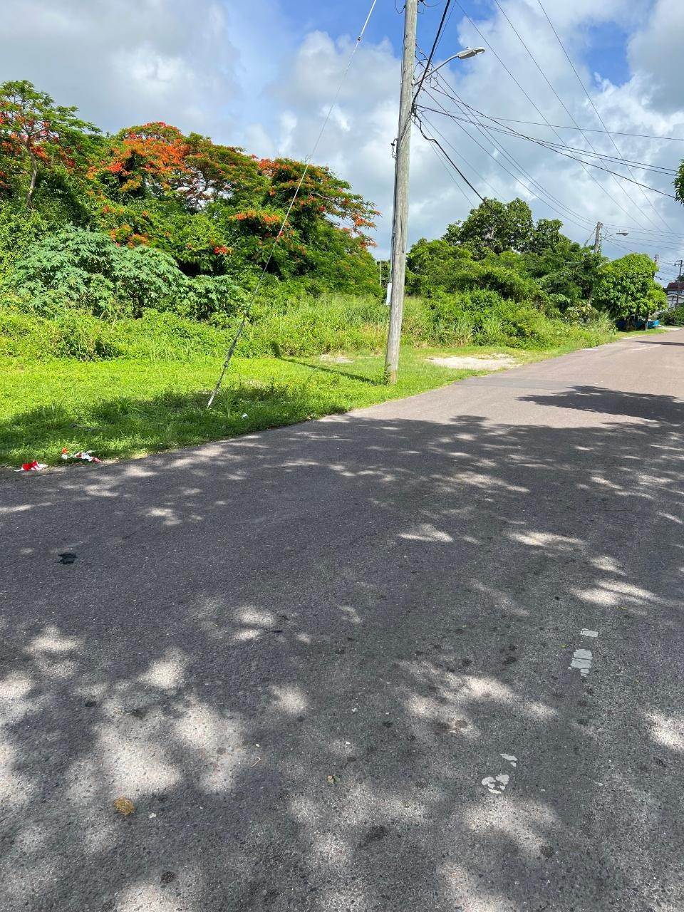 3. Land for Sale at Oakes Field, Nassau and Paradise Island Bahamas