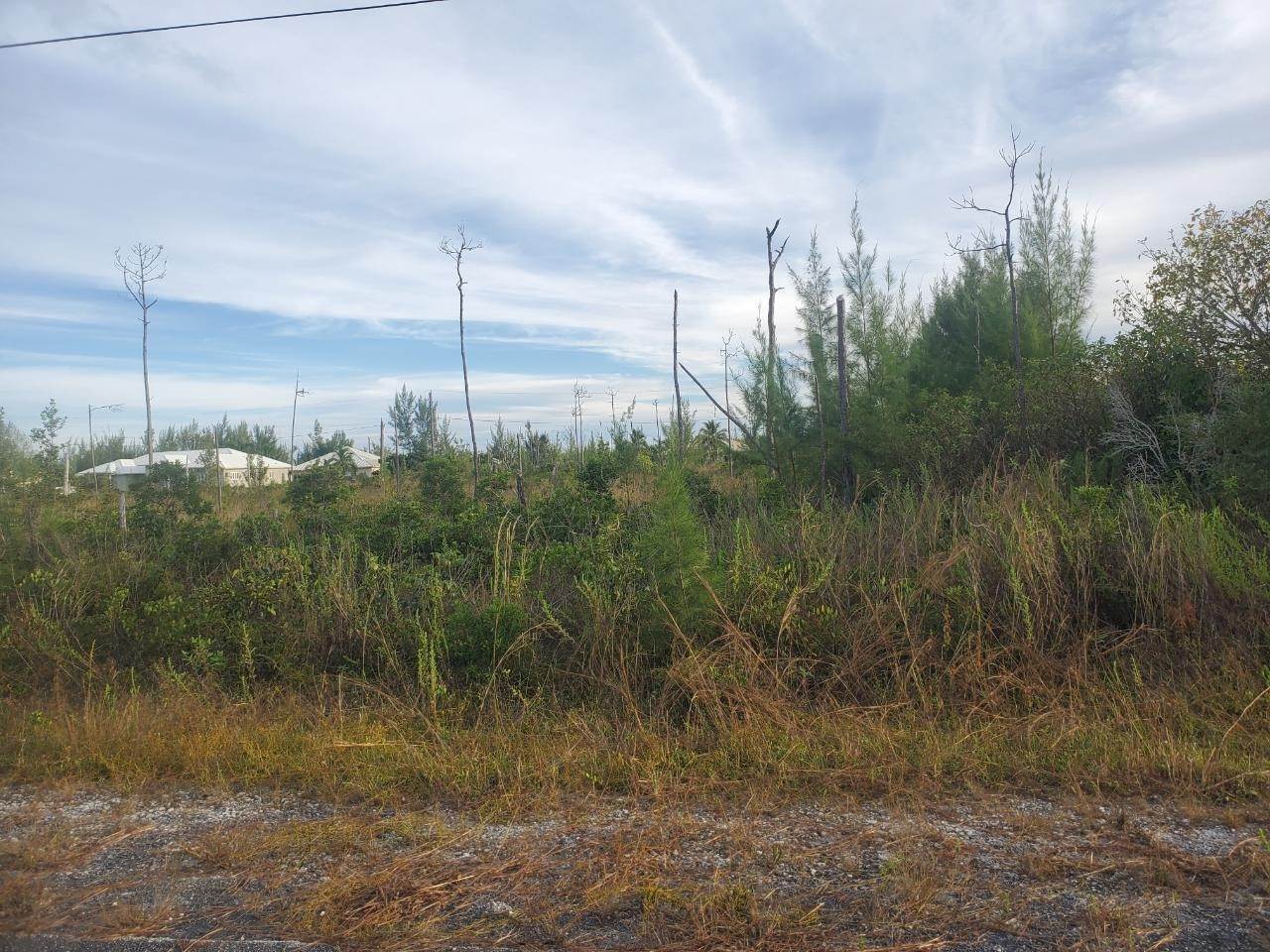 3. Land for Sale at Derby, Freeport and Grand Bahama Bahamas