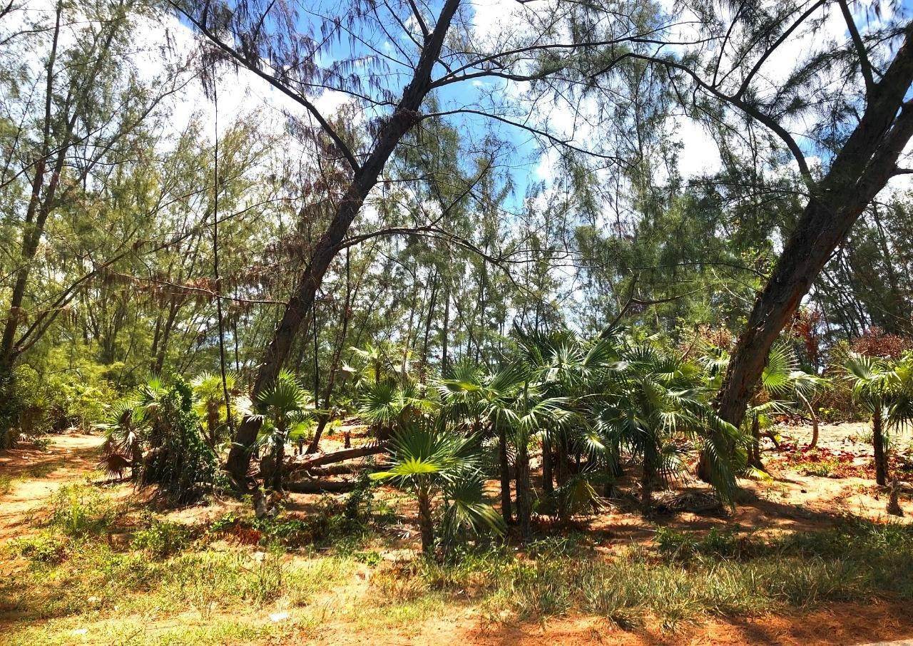 5. Land for Sale at Port Howe, Cat Island Bahamas