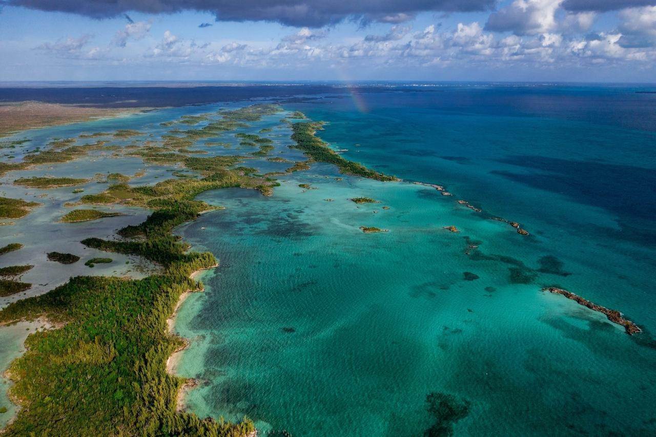 2. Private Islands for Sale at Other Abaco, Abaco Bahamas
