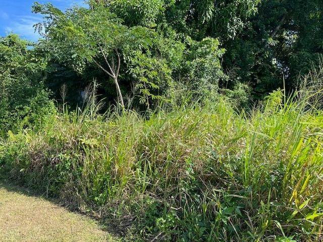 1. Land for Sale at Fox Hill, Nassau and Paradise Island Bahamas