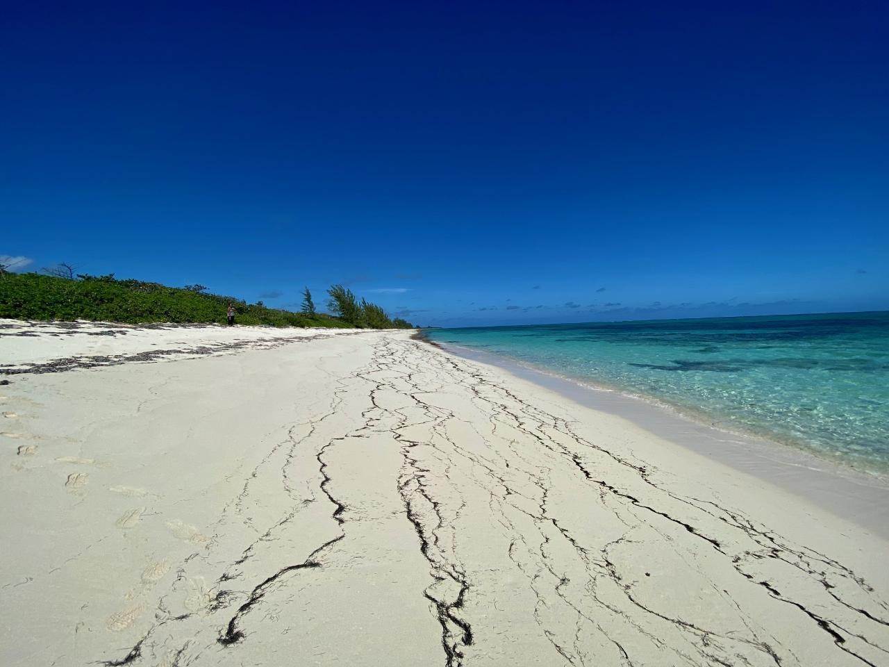 5. Land for Sale at Old Bight, Cat Island Bahamas