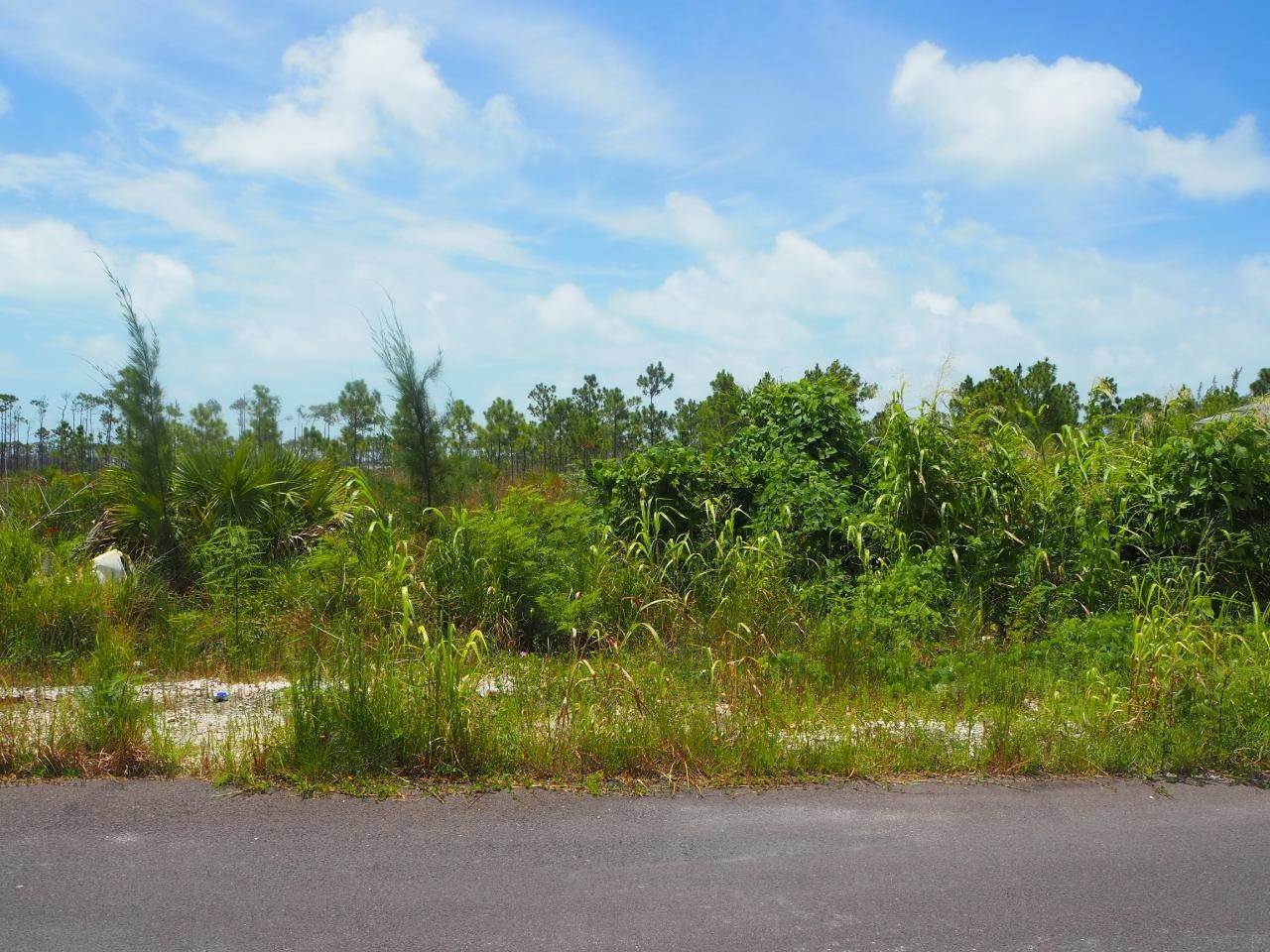2. Land for Sale at Cowpen Road, Nassau and Paradise Island Bahamas
