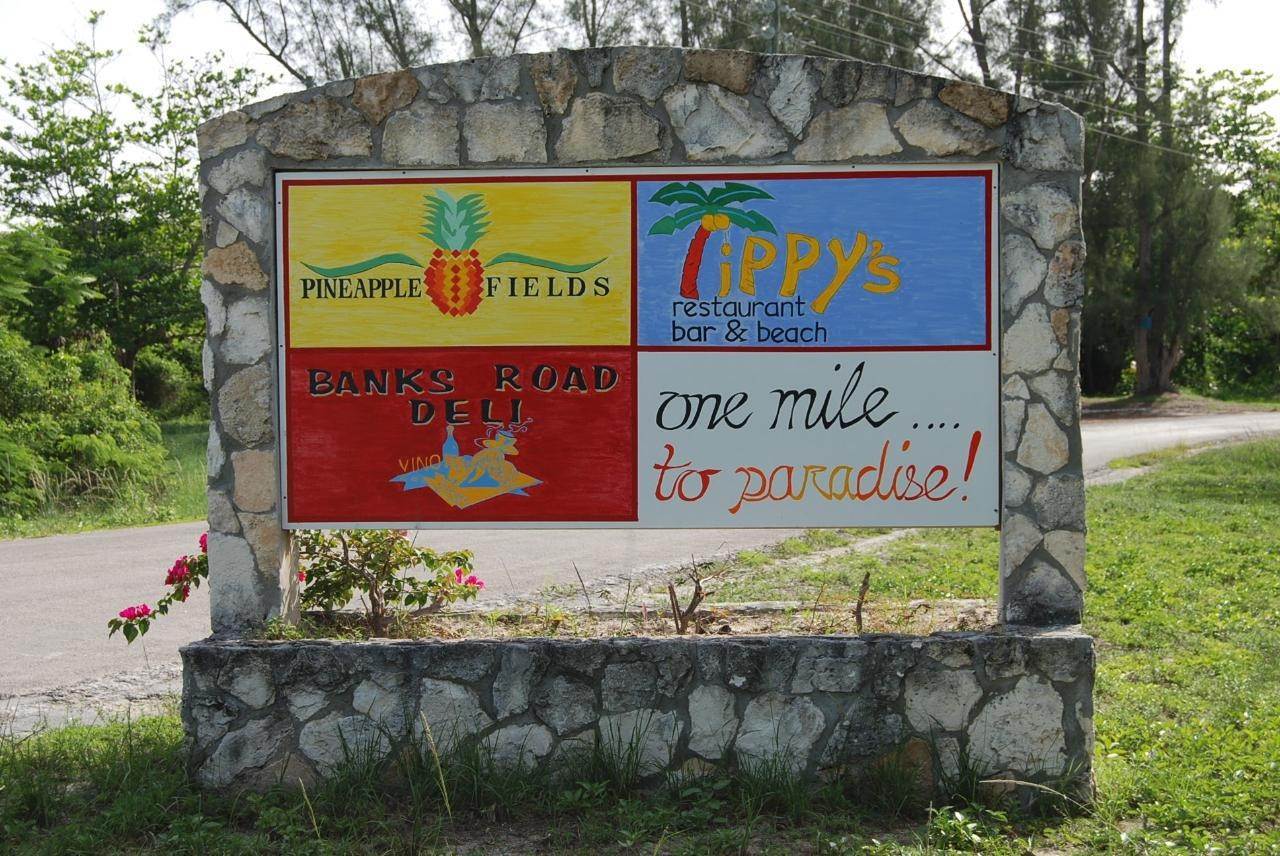 12. Land for Sale at Windermere Island, Eleuthera Bahamas
