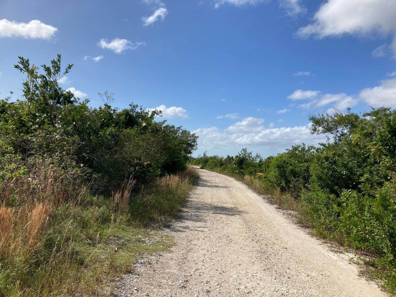 4. Land for Sale at Congo Town, Andros Bahamas