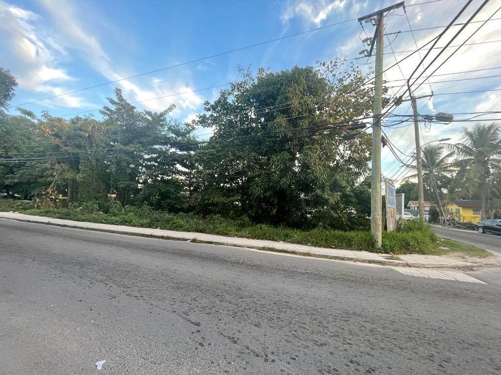 6. Land for Sale at Malcolm Allotment, Nassau and Paradise Island Bahamas